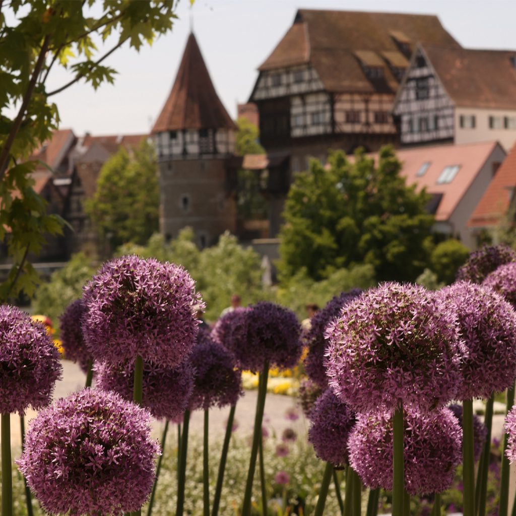 gartenschau-balingen-9